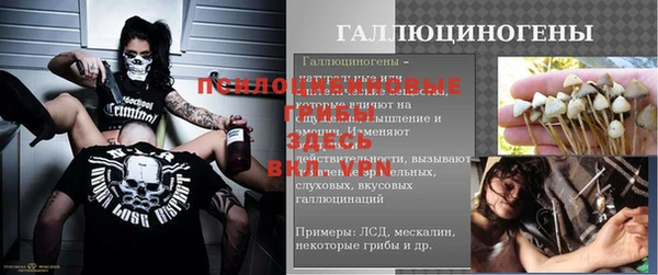 прущие крисы Арсеньев