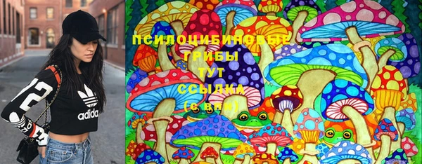 спиды Протвино