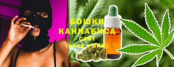 прущие крисы Арсеньев