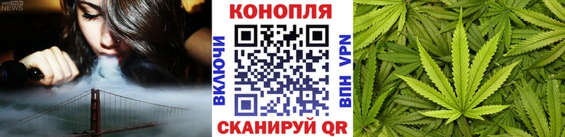Бошки Шишки план  Нижние Серги 